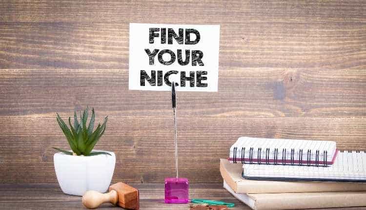 Choose a niche for your dropshipping business