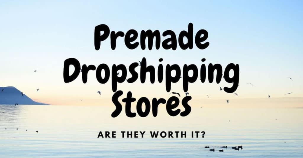 premade dropshipping stores: are they worth it?