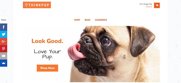 thinkpup store