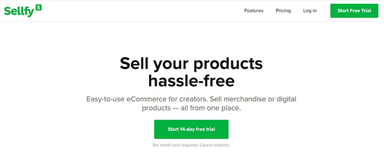 Sellfy website, best platform to sell digital products