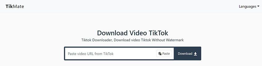 Tikmate TikTok video downloader