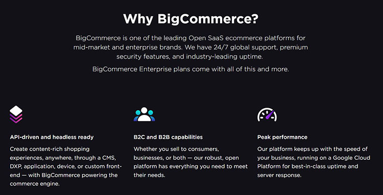 BigCommerce, one of the best platforms to sell digital products