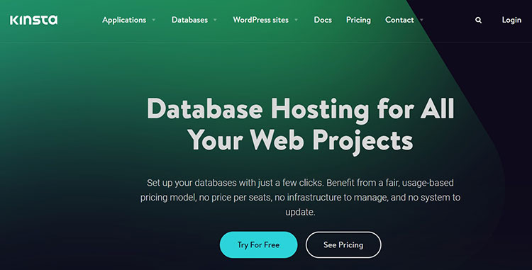 Kinsta database hosting service